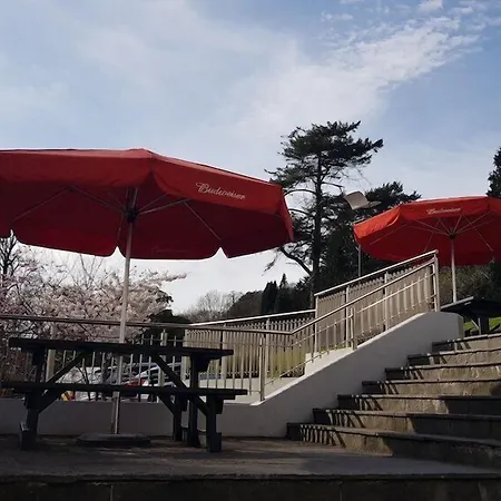 Clayton Silver Springs 4*