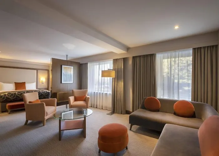 Clayton Silver Springs 4* Cork