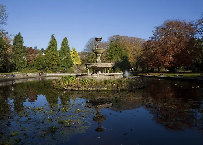 Clayton Silver Springs 4* Cork